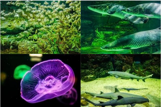 QQ截圖20190327161827.jpg QQ截圖20190327161827.jpg